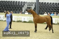 24R13_10173 thumbnail