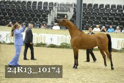 24R13_10174 thumbnail