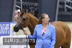 24R13_10175 thumbnail