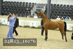 24R13_10176 thumbnail