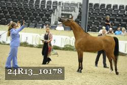 24R13_10178 thumbnail