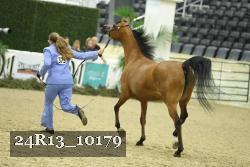 24R13_10179 thumbnail