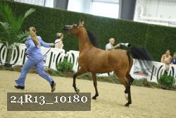 24R13_10180 thumbnail
