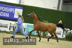 24R13_10181 thumbnail