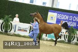 24R13_10182 thumbnail