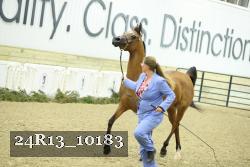 24R13_10183 thumbnail