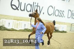 24R13_10184 thumbnail