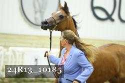 24R13_10185 thumbnail