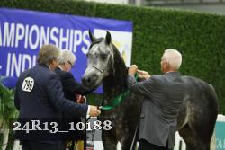 24R13_10188 thumbnail