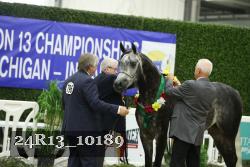 24R13_10189 thumbnail