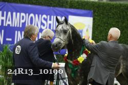 24R13_10190 thumbnail