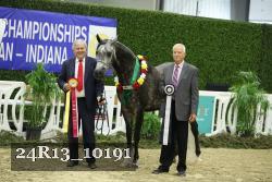 24R13_10191 thumbnail