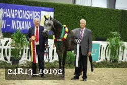 24R13_10192 thumbnail