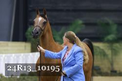 24R13_10195 thumbnail