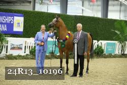24R13_10196 thumbnail