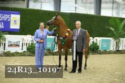 24R13_10197 thumbnail