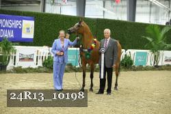 24R13_10198 thumbnail