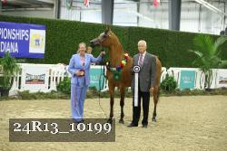 24R13_10199 thumbnail