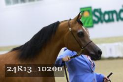 24R13_10200 thumbnail