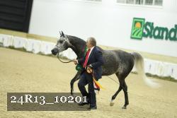 24R13_10201 thumbnail