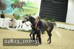24R13_10203 thumbnail