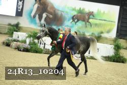 24R13_10204 thumbnail