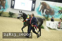 24R13_10205 thumbnail