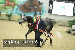 24R13_10206 thumbnail