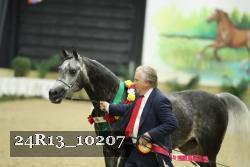 24R13_10207 thumbnail