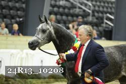 24R13_10208 thumbnail