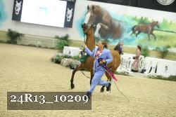 24R13_10209 thumbnail