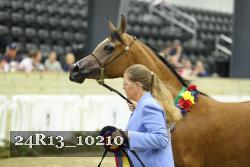 24R13_10210 thumbnail