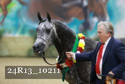 24R13_10211 thumbnail