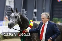 24R13_10212 thumbnail