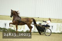 24R13_10215 thumbnail