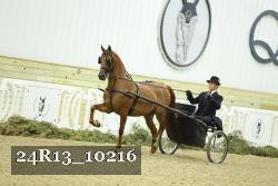 24R13_10216 thumbnail