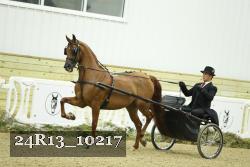 24R13_10217 thumbnail