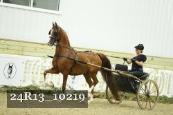 24R13_10219 thumbnail