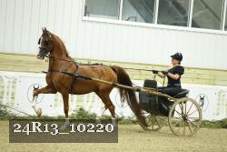 24R13_10220 thumbnail