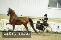 24R13_10221 thumbnail