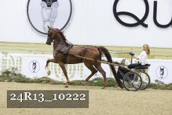 24R13_10222 thumbnail
