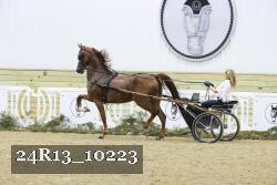 24R13_10223 thumbnail