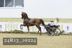 24R13_10224 thumbnail