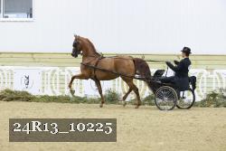 24R13_10225 thumbnail