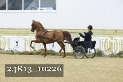 24R13_10226 thumbnail