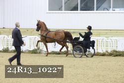 24R13_10227 thumbnail