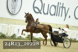 24R13_10228 thumbnail