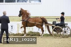 24R13_10229 thumbnail