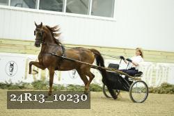 24R13_10230 thumbnail