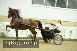 24R13_10231 thumbnail